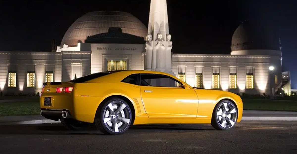 bumblebee
